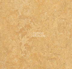 Линолеум Forbo Marmoleum Marbled Real 3173 Van Gogh фото 1 | FLOORDEALER